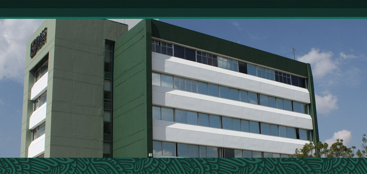 IMSS